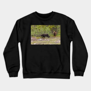 Bear Cubs Crewneck Sweatshirt